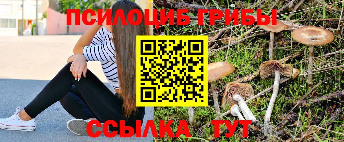 Магадан  Бошки Шишки  КОКАИН  Вход с VPN  ГАШ  ГАШИШ  Мефедрон   MDMA 