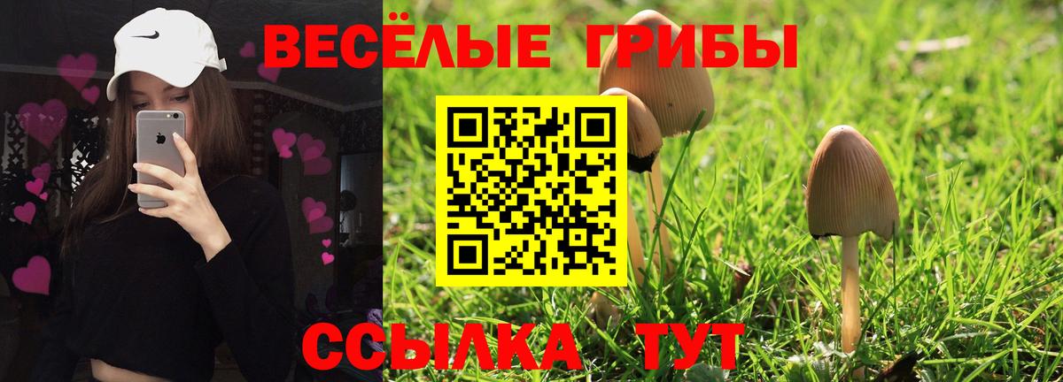 Псилоцибиновые грибы мухоморы Магадан